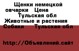 Щенки немецкой овчарки › Цена ­ 10 000 - Тульская обл. Животные и растения » Собаки   . Тульская обл.